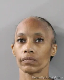 Mugshot of SHAHIDAH PHILLIPS booked in Polk County, Florida on March 31, 2026