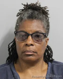 Mugshot of CHERLYNN LEVY booked in Polk County, Florida on April 4, 2026