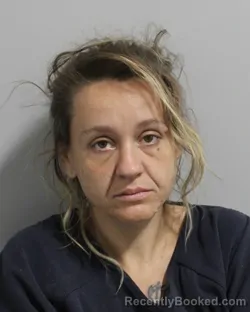 Mugshot of ASHLEY CHILDS booked in Polk County, Florida on April 6, 2026