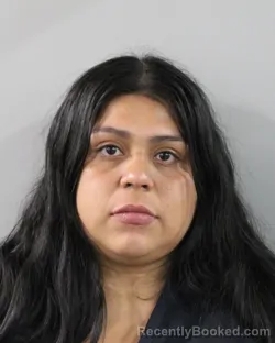 Mugshot of YULISA SANTOS JAIMES booked in Polk County, Florida on April 26, 2026