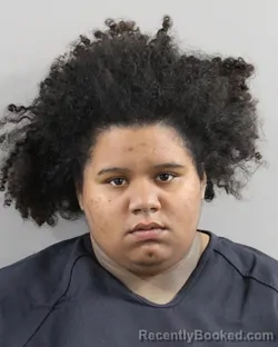 Mugshot of TIONNIE WALKER booked in Polk County, Florida on May 4, 2026