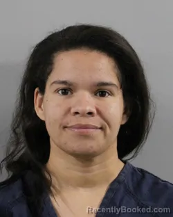 Mugshot of ANASTASIA GONCEZAROW booked in Polk County, Florida on May 4, 2026