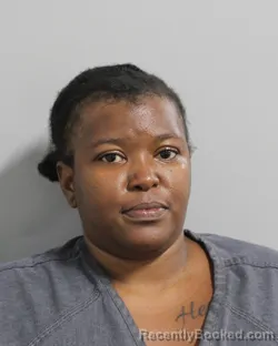 Mugshot of ALYS ELLINGTON booked in Polk County, Florida on May 5, 2026
