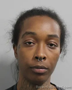 Mugshot of ERIN BAYLOR booked in Polk County, Florida on May 13, 2026