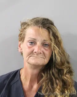 Mugshot of SHANNON TORRES booked in Polk County, Florida on May 13, 2026