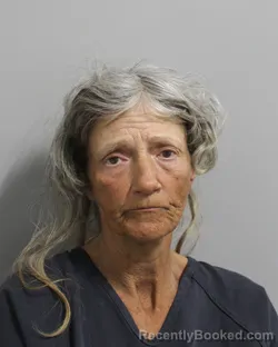 Mugshot of MELANIE OLMSTEAD booked in Polk County, Florida on May 14, 2026