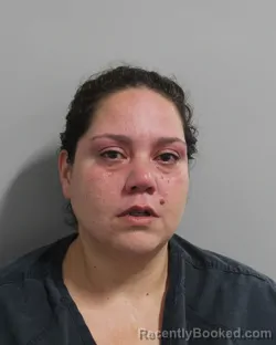 Mugshot of MARISOL RIVERA TORRES booked in Polk County, Florida on May 14, 2026