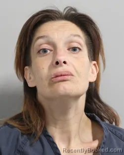 Mugshot of MELISSA MCDONOUGH booked in Polk County, Florida on May 16, 2026