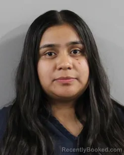 Mugshot of BRENDA PENA booked in Polk County, Florida on May 16, 2026