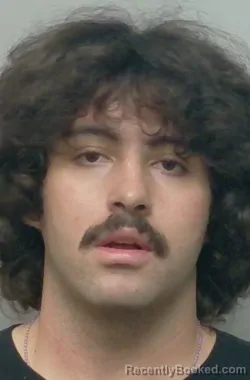 Booking photo from Polk County, Florida