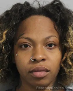Booking photo from Polk County, Florida