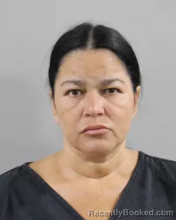 Mugshot of JANET BURGOS booked in Polk County, Florida on May 26, 2026