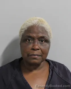 Mugshot of VICKIE MCCOY booked in Polk County, Florida on May 26, 2026