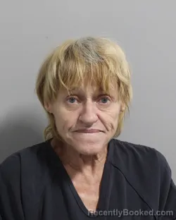 Mugshot of DEBRA DELANIS booked in Polk County, Florida on May 27, 2026