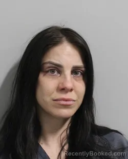Mugshot of MEGAN LANE booked in Polk County, Florida on May 27, 2026