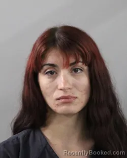 Mugshot of AILEMA CARRALERO booked in Polk County, Florida on May 28, 2026