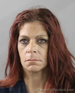 Mugshot of HEIDI WESTOVER booked in Polk County, Florida on May 29, 2026