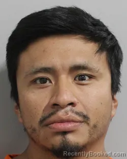 Mugshot of DANIEL LEE booked in Polk County, Florida on May 30, 2026