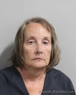 Mugshot of LISA JACKSON booked in Polk County, Florida on May 30, 2026