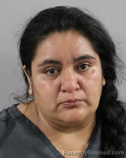 Mugshot of VERONICA CHAVEZ booked in Polk County, Florida on June 1, 2026