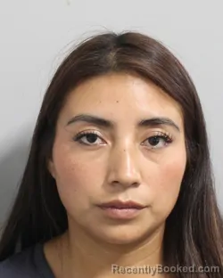 Mugshot of KAREN CORDOVA-PALAFOX booked in Polk County, Florida on June 1, 2026