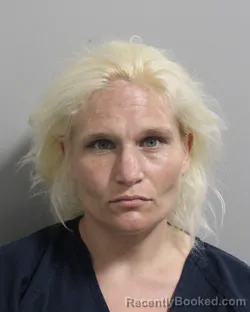 Mugshot of JULIA CESARIO booked in Polk County, Florida on June 2, 2026