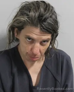 Mugshot of MARIELA HERNADEZ booked in Polk County, Florida on June 2, 2026
