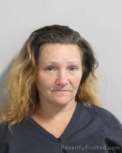 Mugshot of TINA ENDERTON booked in Polk County, Florida on June 2, 2026