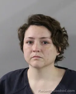 Mugshot of ALEXIS HILLFIGER booked in Polk County, Florida on June 2, 2026