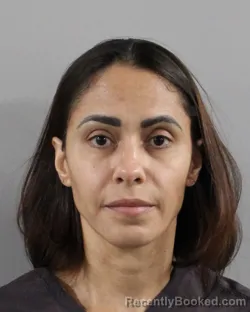 Mugshot of VANESSA SOUZA DE SELES booked in Polk County, Florida on June 2, 2026