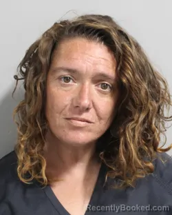 Mugshot of DIANNA BRADSHAW booked in Polk County, Florida on June 3, 2026
