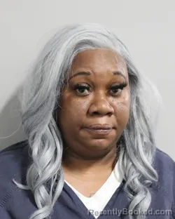 Mugshot of KENNITA STEPHENS booked in Polk County, Florida on June 4, 2026