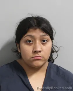 Mugshot of REYNARIA VAZQUEZ booked in Polk County, Florida on June 7, 2026
