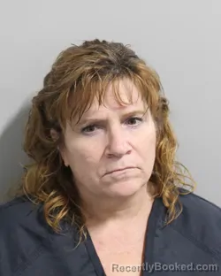 Mugshot of ANNE NOYOLA booked in Polk County, Florida on June 8, 2026