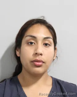 Mugshot of YALITZA RODRIGUEZ booked in Polk County, Florida on June 9, 2026
