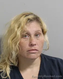Mugshot of AMANDA WHITE booked in Polk County, Florida on June 10, 2026