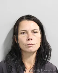 Mugshot of PATRICIA HAYES booked in Polk County, Florida on June 12, 2026