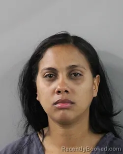 Mugshot of ROSHERLY LUNA VILLANUEVA booked in Polk County, Florida on June 13, 2026