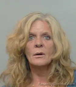 Mugshot of CHRISTINE GANNON booked in Polk County, Florida on June 13, 2026