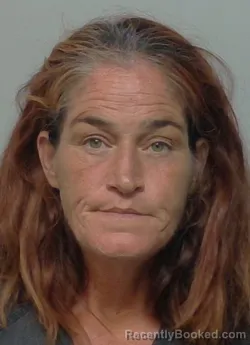 Mugshot of SHANNON DUFF booked in Polk County, Florida on June 13, 2026
