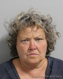 Mugshot of CYNTHIA MASTIN booked in Polk County, Florida on June 13, 2026