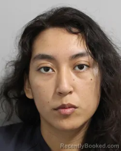 Mugshot of KARLA PEREZ booked in Polk County, Florida on June 14, 2026