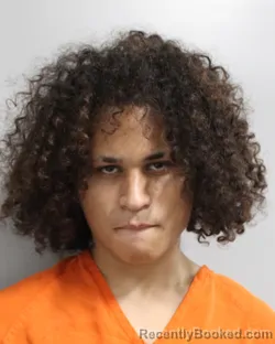 Mugshot of JAHSIAH SANTIAGO GREEN booked in Polk County, Florida on June 14, 2026