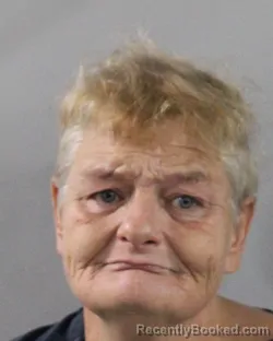 Mugshot of MARGARET EHLER booked in Polk County, Florida on June 14, 2026