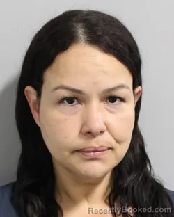 Mugshot of CAREN MONCAYO NINA booked in Polk County, Florida on June 15, 2026