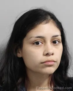 Mugshot of ANALISE BENAVIDES booked in Polk County, Florida on June 15, 2026