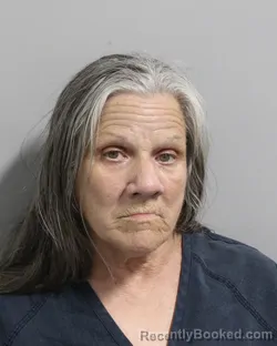 Mugshot of CHERYL WOODHAM booked in Polk County, Florida on June 17, 2026