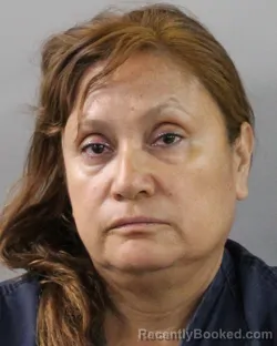 Mugshot of ROCIO VELAZQUEZ NEGRETE booked in Polk County, Florida on June 20, 2026