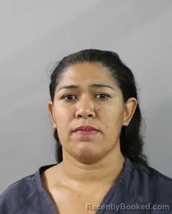 Mugshot of ALEJANDRA BORJAS VILLANUEVA booked in Polk County, Florida on June 21, 2026