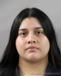 Mugshot of ANGIE GARCIA GORDILLO booked in Polk County, Florida on June 22, 2026